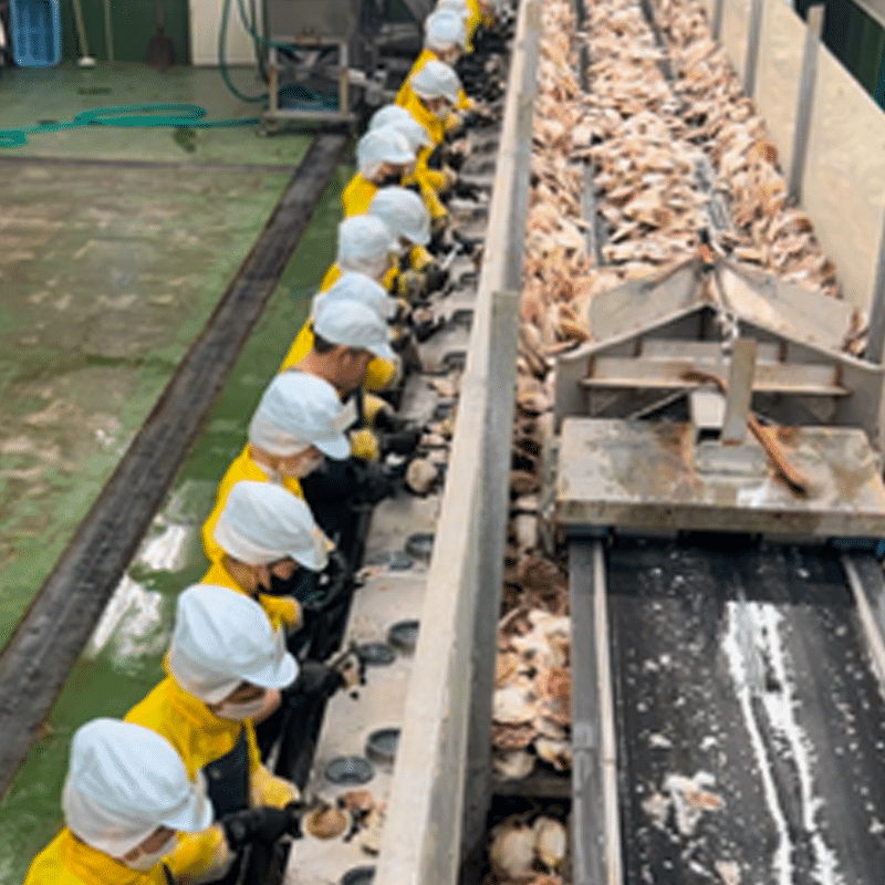 有限会社丸二永光水産様